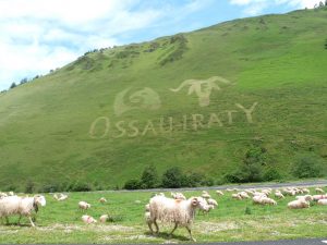 Fresque Géante Ossau-Iraty