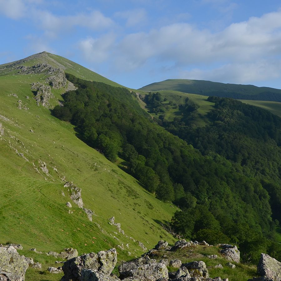 oi-gabarit-header2-paysbasque