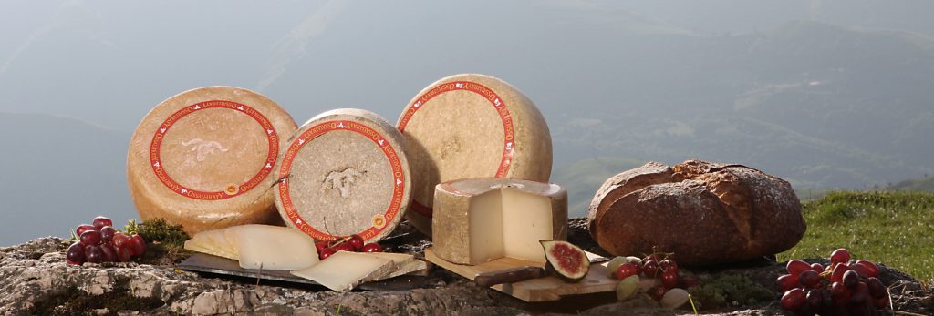 Les 5 leçons de reconnaissance des fromages Ossau-Iraty