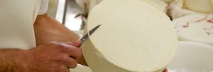 Fromage AOP Ossau-Iraty avant affinage