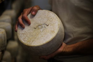 fromage fermier AOP Ossau-Iraty