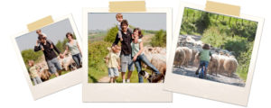 ferme-artzainak