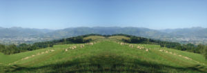ferme-iruleia