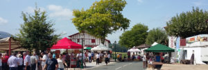 fete-fromage-macaye