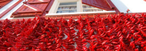 façade maison piment espelette