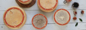 header-fromage-saison